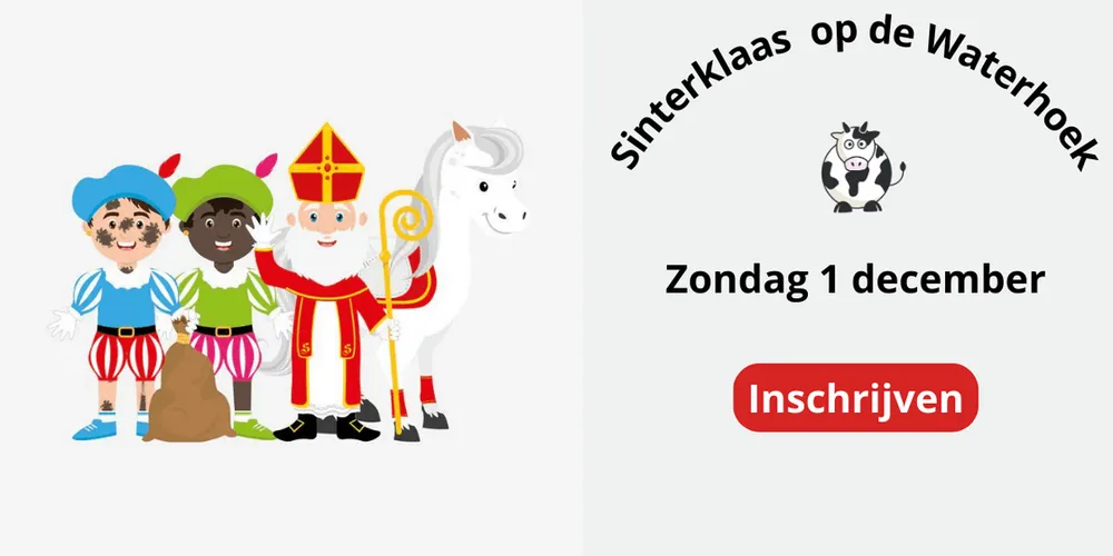 Bezoek van de Sint