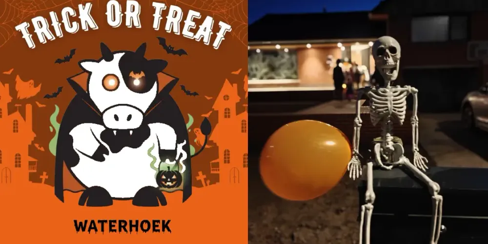 Halloween - Trick or Treat 🎃