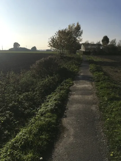 Ossekopwegel